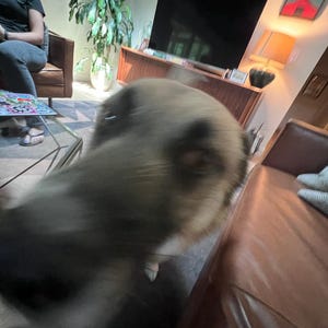 Ruthie hat ein Foto des gekauften Artikels hinzugefügt