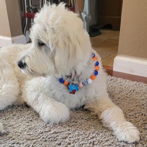 Tonya added a photo of their purchase
