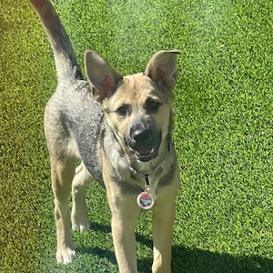 Etsy buyer added a photo of their purchase