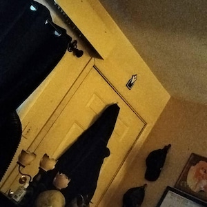 Greg ha aggiunto una foto del proprio acquisto