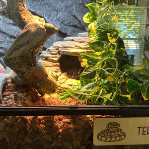 Ale added a photo of their purchase