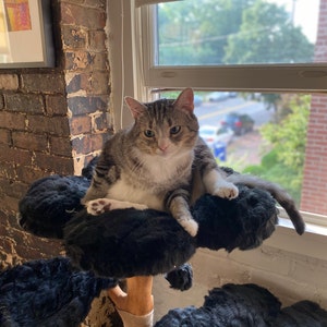 Katherine added a photo of their purchase