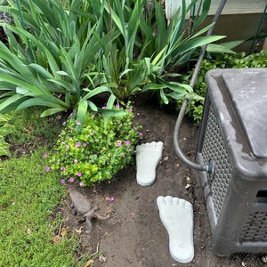Cyndy heeft een foto van de aankoop toegevoegd