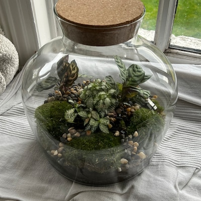 Terrarium Rond Avec Bouchon Liège - Design Teddy LED 26.5 Cm - Verre Recyclé