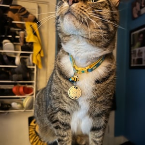 Jamie ha aggiunto una foto del proprio acquisto