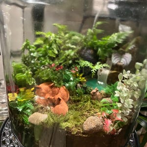 Carol added a photo of their purchase