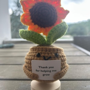 Cute 3PCS Plants,Thank You For Helping Me Grow,Crochet Sunflowers/Hearts/Rose Plants,Emotional Support Crochet,Thank You Gift,Teacher Gift