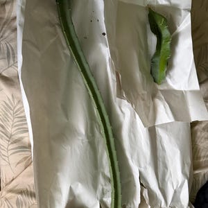 Isaias added a photo of their purchase