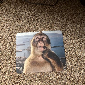 LavenderPaladin added a photo of their purchase