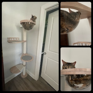 Elisabeth added a photo of their purchase