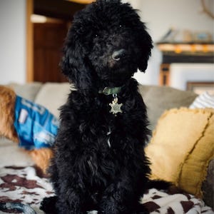 Rachel a ajouté une photo de son achat