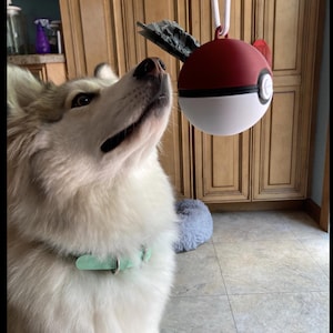 Meghan added a photo of their purchase