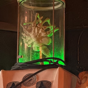 Jessica added a photo of their purchase