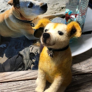 Sally added a photo of their purchase