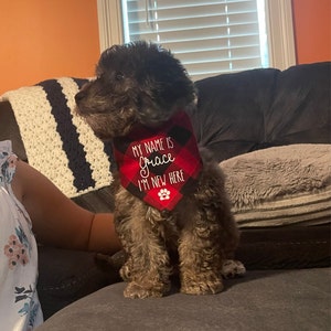 Jordan added a photo of their purchase