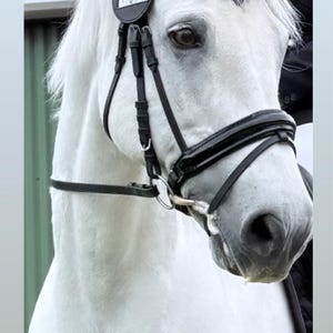 ROUGH 'N' TOUGH Leather Horse Browband LCT+Braun+LCT Crystal