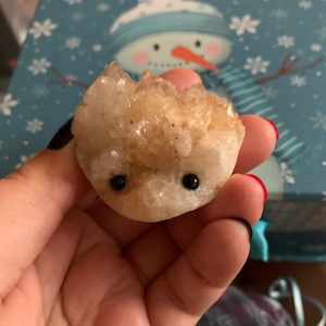 Lexie added a photo of their purchase