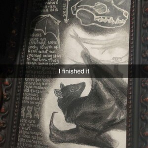 Safina heeft een foto van de aankoop toegevoegd