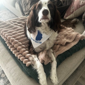 Baseball-Hundehalstücher – 7 Stück, Bunt & Für Kleine Bis Große Hunde