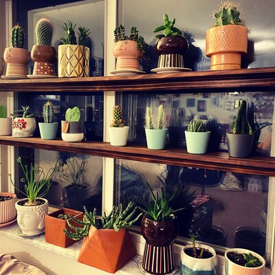 Barred Owl Nesting Box With Solar Powered PIR Wifi Camera Opossum