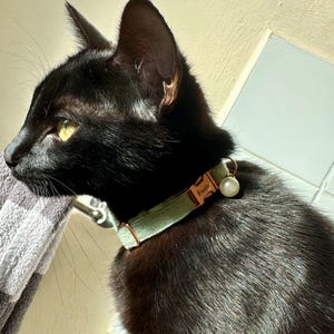 Charlotte added a photo of their purchase