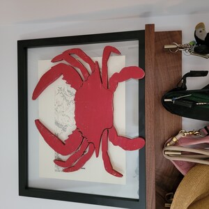 Crab shop buzos sale