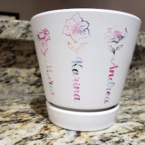 ANA added a photo of their purchase