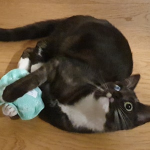 Stella a ajouté une photo de son achat