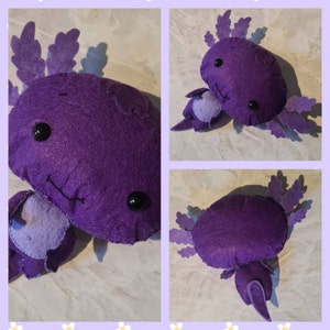 Sally added a photo of their purchase