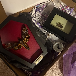 christina a ajouté une photo de son achat