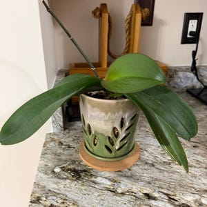 Amanda added a photo of their purchase