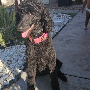 Jessica added a photo of their purchase