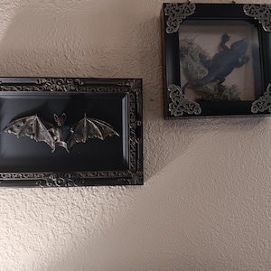 Crystal added a photo of their purchase