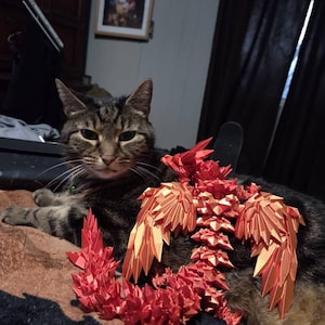 Marlena ha añadido una foto de su compra