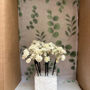 Annika added a photo of their purchase