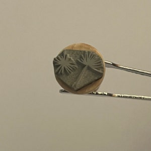 Clare added a photo of their purchase