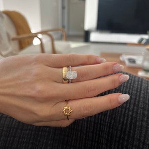 Shea added a photo of their purchase