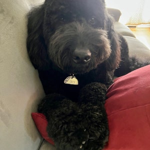 Chloee ha añadido una foto de su compra