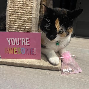 Naomi added a photo of their purchase