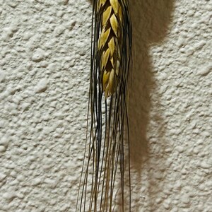 Natalie added a photo of their purchase