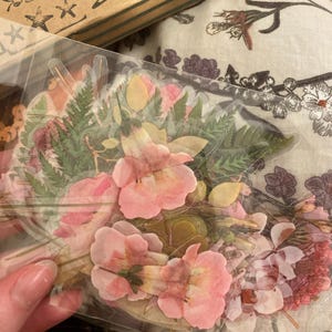 Phoebe ha añadido una foto de su compra