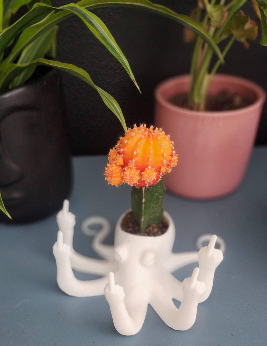 Fucktopus Planter