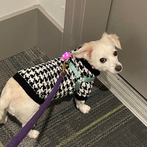 犬のニットセーター千鳥格子-ダックスフンドのセーター-犬の服