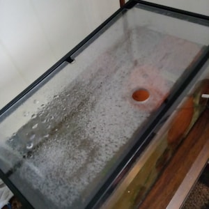 BoHoHo added a photo of their purchase