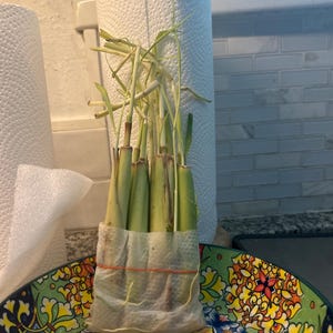 Anne ha aggiunto una foto del proprio acquisto
