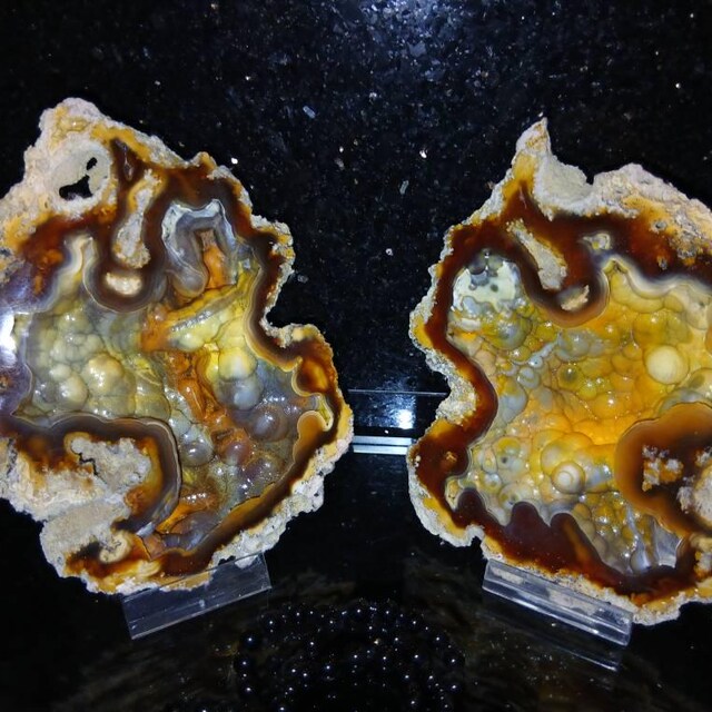 希少な瑪瑙化サンゴジオード - Etsy 日本