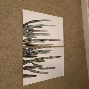 Dana added a photo of their purchase
