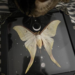 September added a photo of their purchase