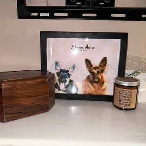 Amber added a photo of their purchase