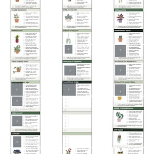 Dawn adicionaram uma foto da sua compra